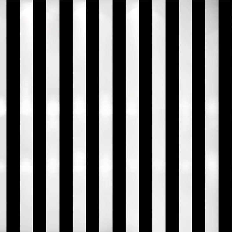 Striped Mural Wallpaper | Black and White Modern Design