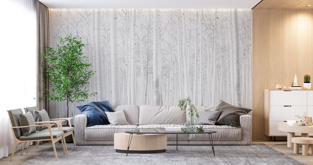 Forest Mural Wallpaper | White Birch Trees Design