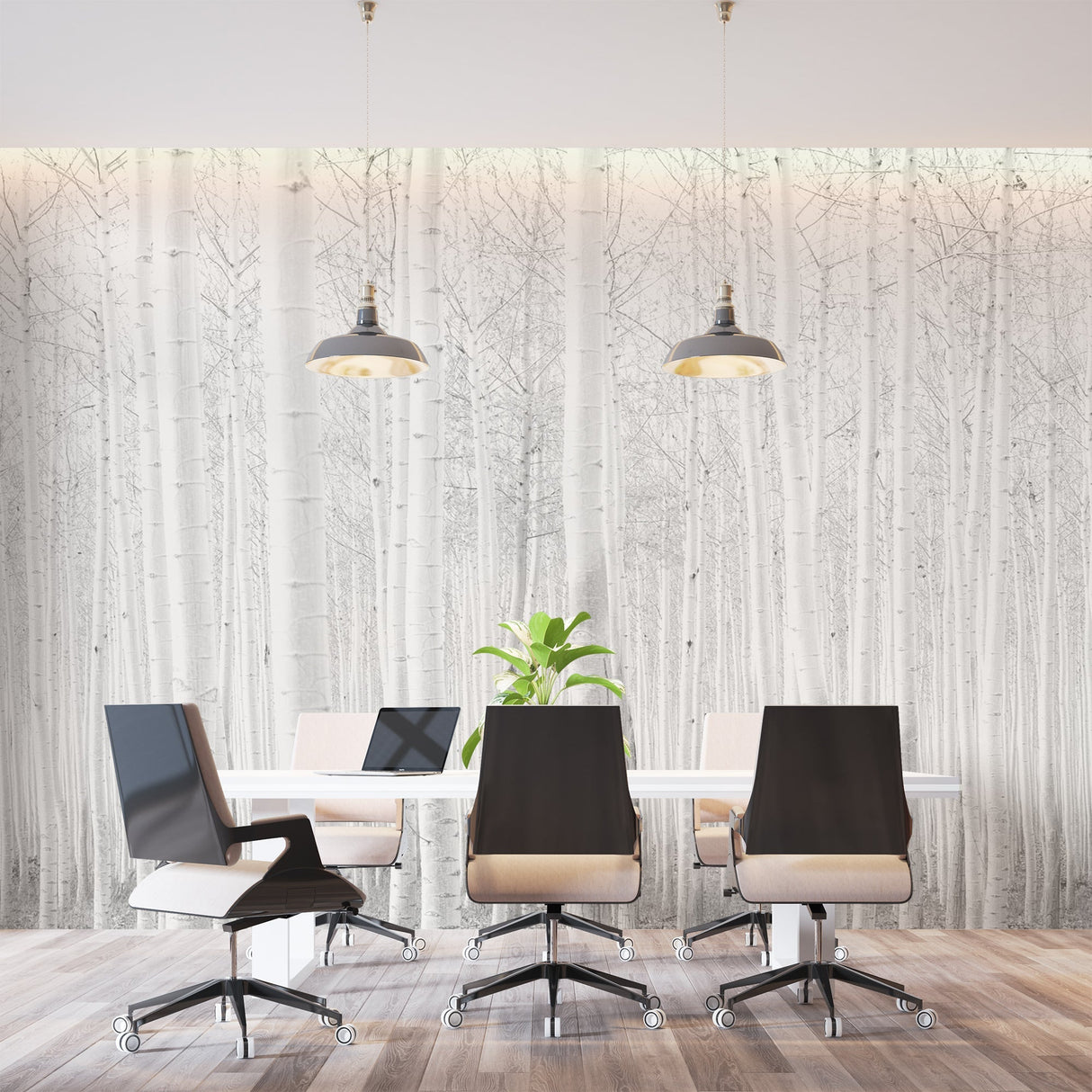 Forest Mural Wallpaper | White Birch Trees Design
