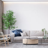 White Mural Wallpaper | Modern Minimalist Design