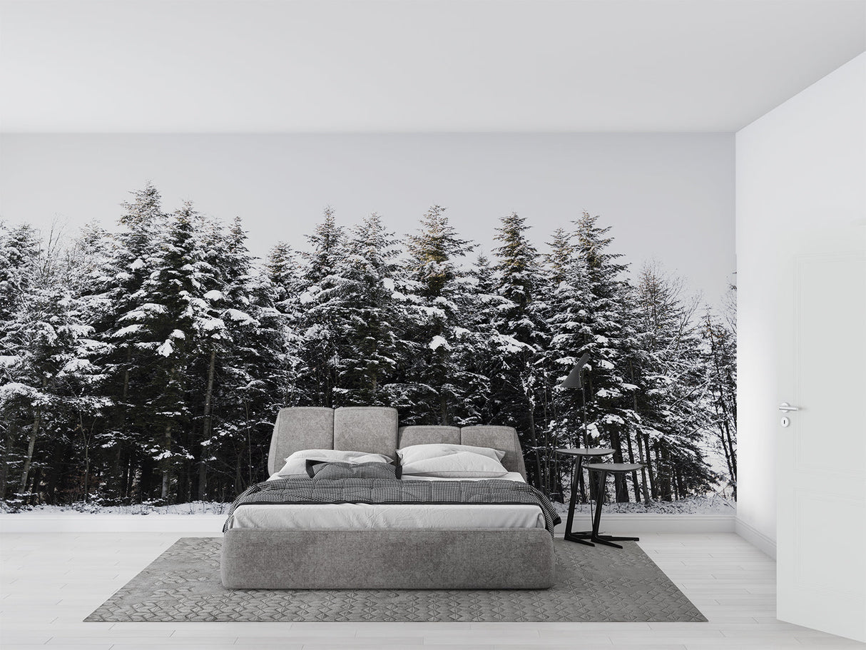 Winter Forest Mural Wallpaper | Snow-Covered Pine Trees