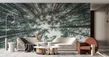 Forest Mural Wallpaper | Upward View of Pine Trees