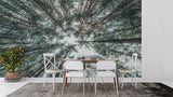 Forest Mural Wallpaper | Upward View of Pine Trees
