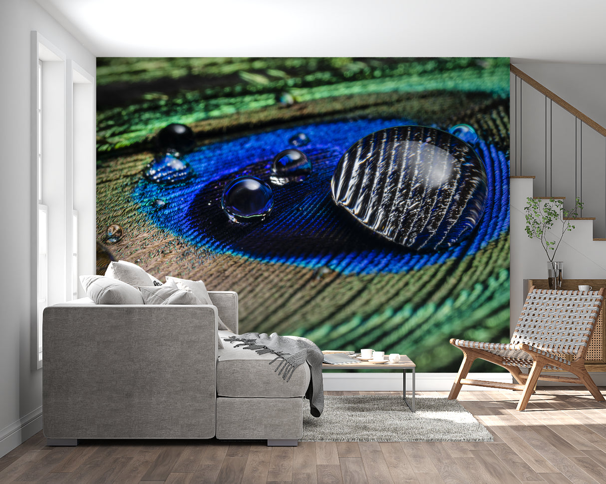 Macro peacock feather mural adding luxury to master bedroom with morning light