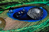 Peacock feather with water drops design file showing intricate detail and rich color palette