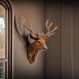 Rustic Deer Head Wall Art  Hand-Detailed Resin Sculpture - Product detail 5