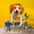 3D Beagle wallpaper bringing charm to a modern living room, yellow accent wall with playful dog design