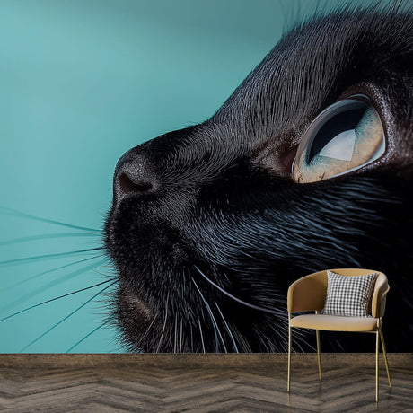 Black cat portrait wall mural creating dramatic impact in a modern living room with turquoise accents