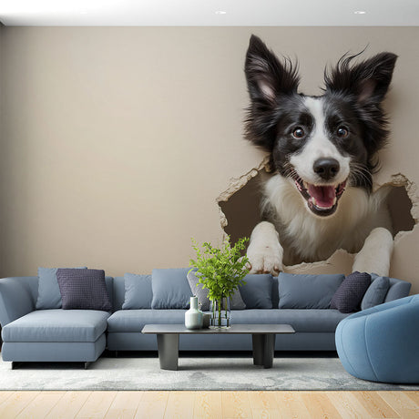 Border Collie 3D wallpaper mural bringing life to a modern living room with white furniture and natural light