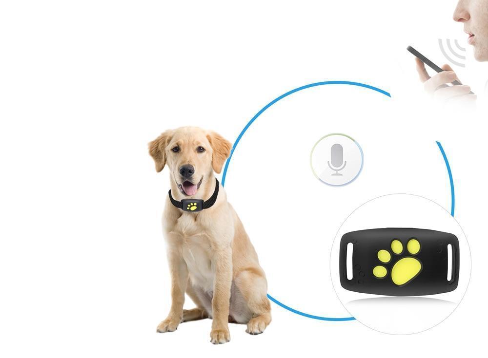 GPS Cat Tracker Collar  Real-Time Satellite Location Monitor - Product example