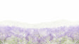 Lavender field wallpaper mural creating a peaceful atmosphere in a modern living room with natural light