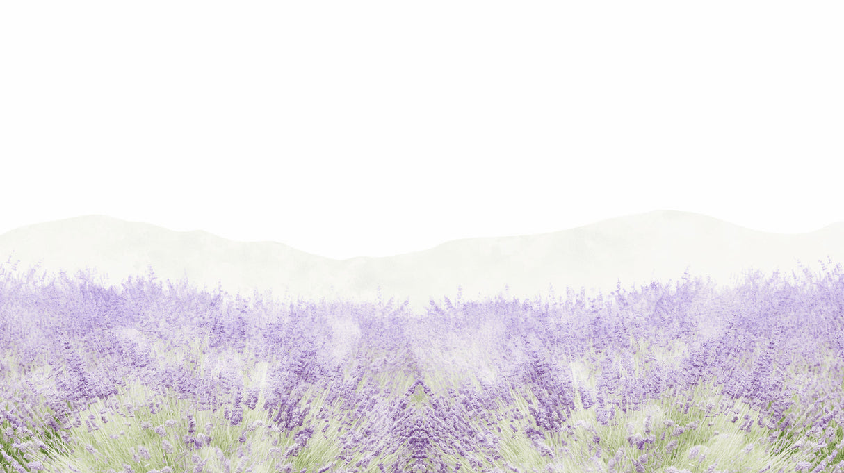 Lavender field wallpaper mural creating a peaceful atmosphere in a modern living room with natural light