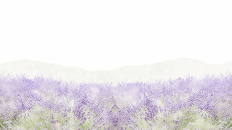 Lavender field wallpaper mural creating a peaceful atmosphere in a modern living room with natural light