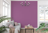 Solid purple wallpaper bringing warmth to a modern hallway