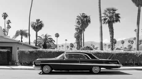 Design file showing detailed Palm Springs car scene pattern in black and white