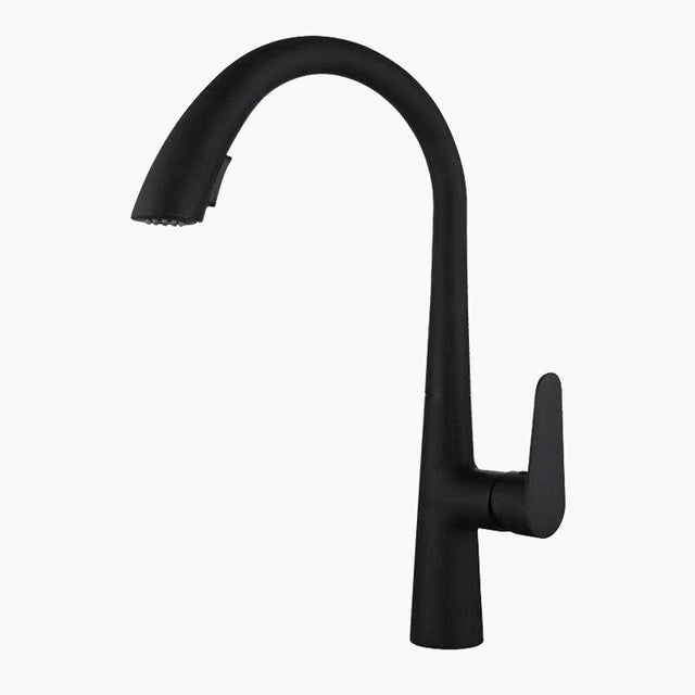 Black Kitchen Faucet  Pull-Down Spray Head Gooseneck Design - Product showcase