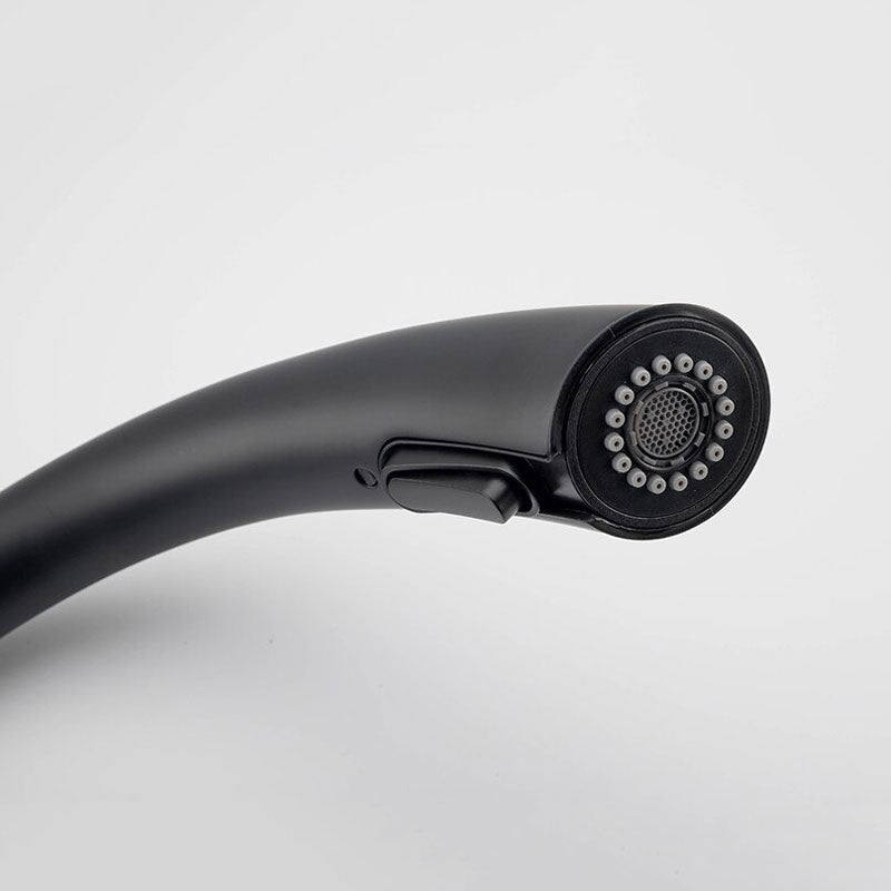 Black Kitchen Faucet  Pull-Down Spray Head Gooseneck Design - Product detail 4