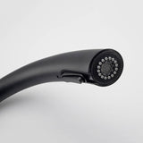 Black Kitchen Faucet  Pull-Down Spray Head Gooseneck Design - Product detail 4