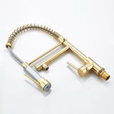 Professional Kitchen Faucet  Gold Finish With Pull-Down Sprayer - Detailed view