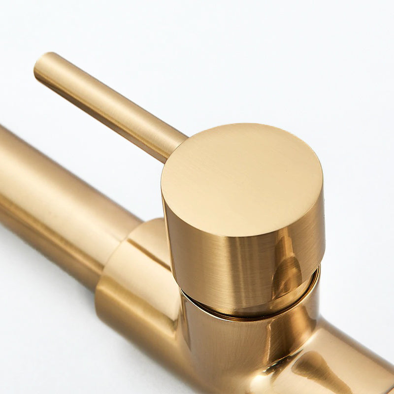Professional Kitchen Faucet  Gold Pull-Down Spray Head - Product example