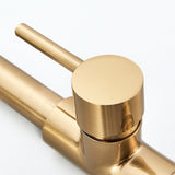 Professional Kitchen Faucet  Gold Pull-Down Spray Head - Product example