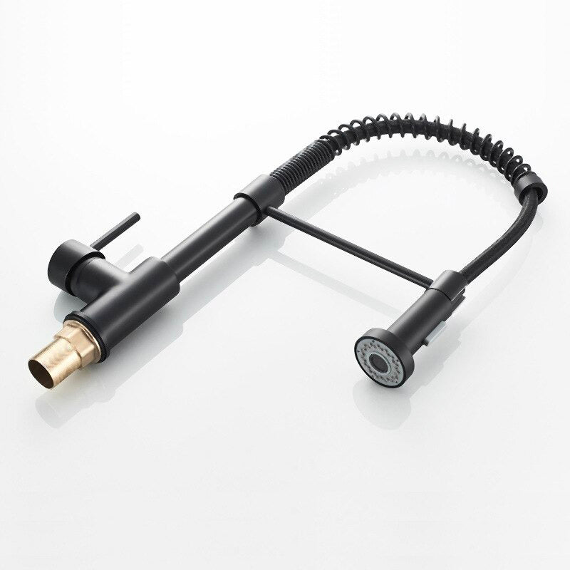 Professional Kitchen Faucet  Matte Black Pull-Down Sprayer - Detailed view