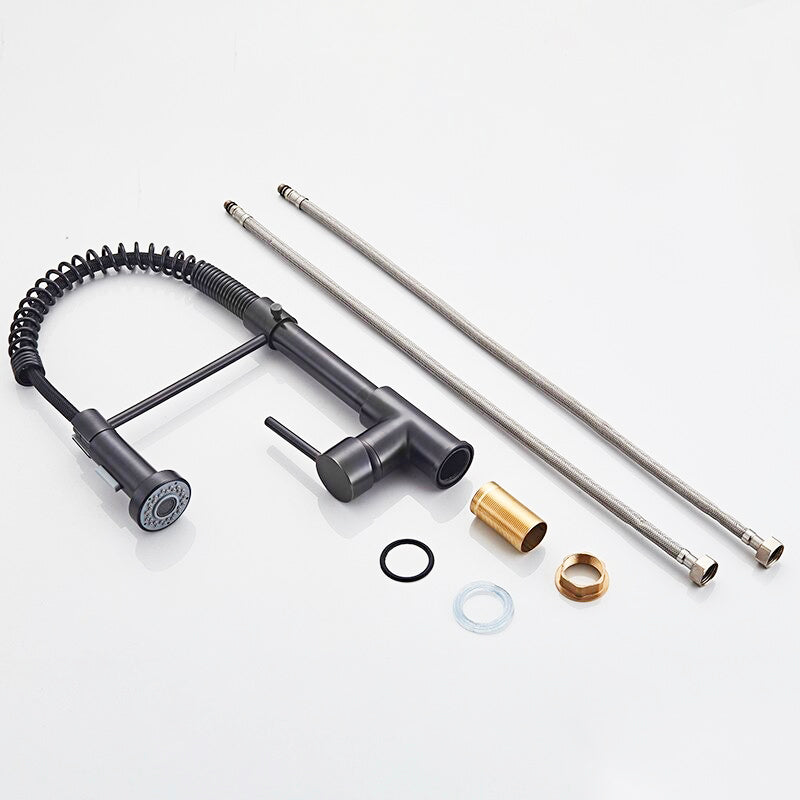 Professional Kitchen Faucet  Matte Black Pull-Down Sprayer - Product example