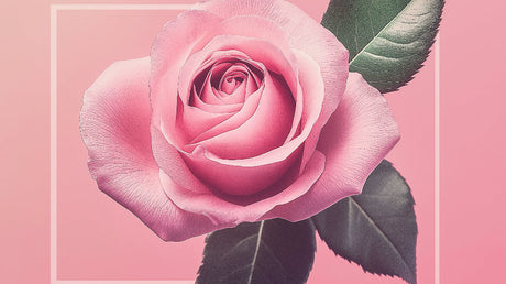 Pink Rose Mural Wallpaper design file showing detailed floral pattern and rich textures