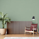 Dining room with sage green minimalist wall design showing natural light effect