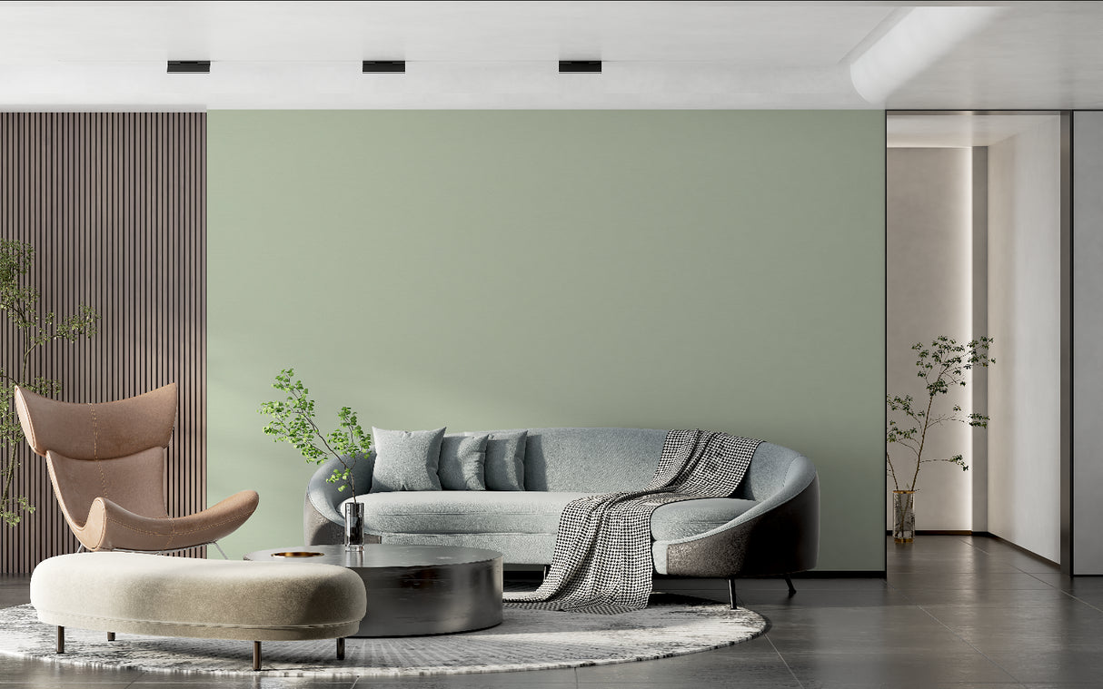 Sage green minimalist wallpaper in modern living room with natural light streaming through windows