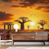 African savanna wallpaper with baobab trees shown in modern living room, warm sunset colors creating cozy atmosphere
