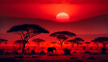 African savanna wallpaper design file showing detailed sunset landscape with acacia trees