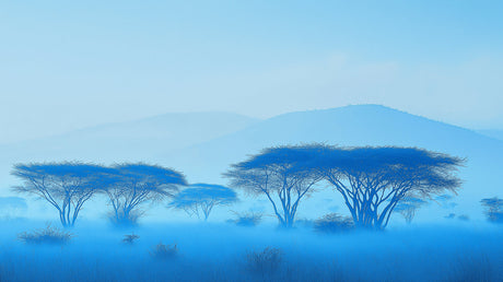 Misty blue African savanna tree design file showing detailed acacia silhouettes against dawn sky