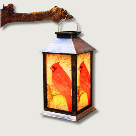 Garden Solar Lantern  Cardinal Bird LED Design - Product showcase