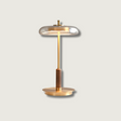 Modern LED Table Lamp  Glass Dome With Wood Accent - Product showcase
