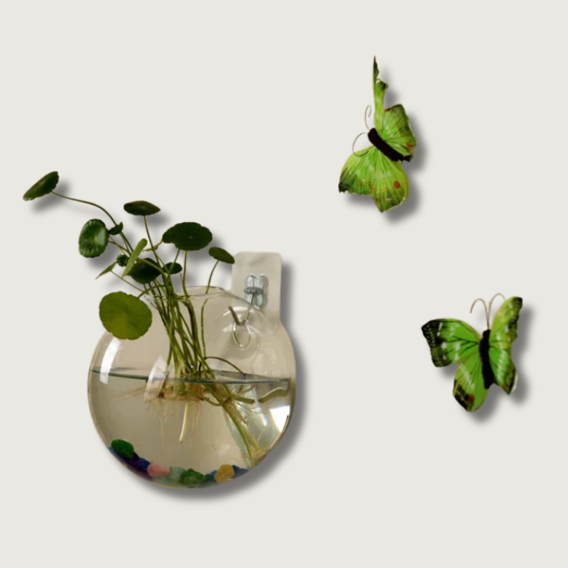 Wall Mounted Glass Vase  Hydroponic Plant Display - Product showcase