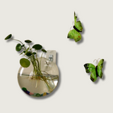 Wall Mounted Glass Vase  Hydroponic Plant Display - Product showcase
