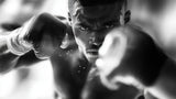 Boxing action wallpaper design file showing detailed black and white photography pattern