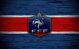 French football team design pattern showing detailed wood grain texture and rooster emblem