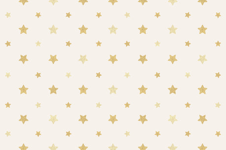 Design file showing detailed golden star pattern on beige background