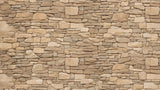 Natural beige stone pattern design file showing detailed random block arrangement with realistic textures
