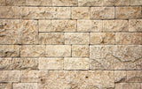 Natural stone wall pattern design file showing detailed limestone texture and weathered effect