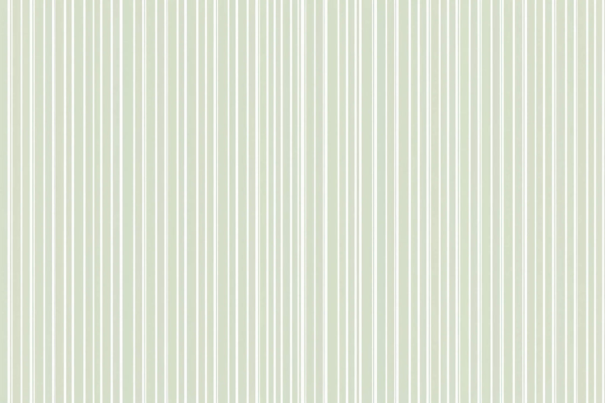 Design file of sage green and white striped pattern showing clean vertical lines