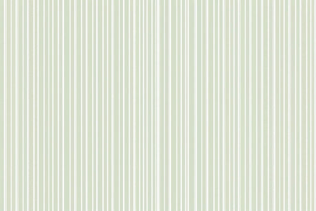 Design file of sage green and white striped pattern showing clean vertical lines
