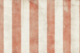 Design file of vertical striped pattern in terracotta and cream