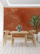 Entryway featuring Mediterranean-inspired terracotta wall covering