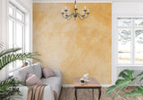 Textured terracotta wall design in dining room with natural light