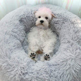 Plush Pet Bed  Rainbow Gradient Donut Design - Product detail 4