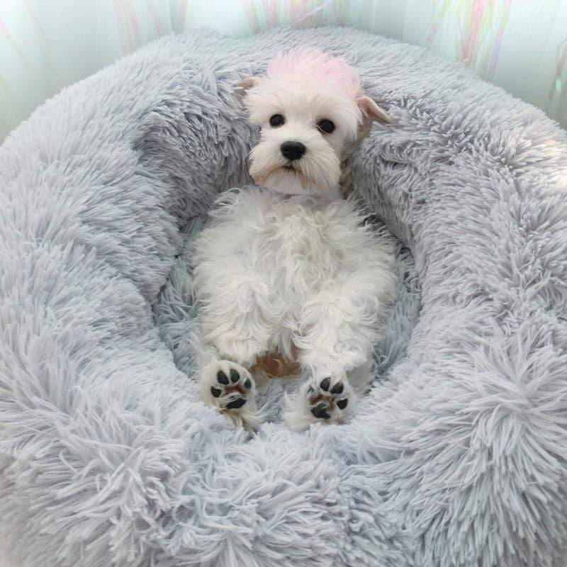 Plush Pet Bed  Rainbow Gradient Faux Fur Design - Product detail 4