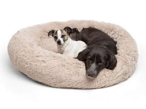 Plush Pet Bed  Rainbow Gradient Donut Design - Product detail 5
